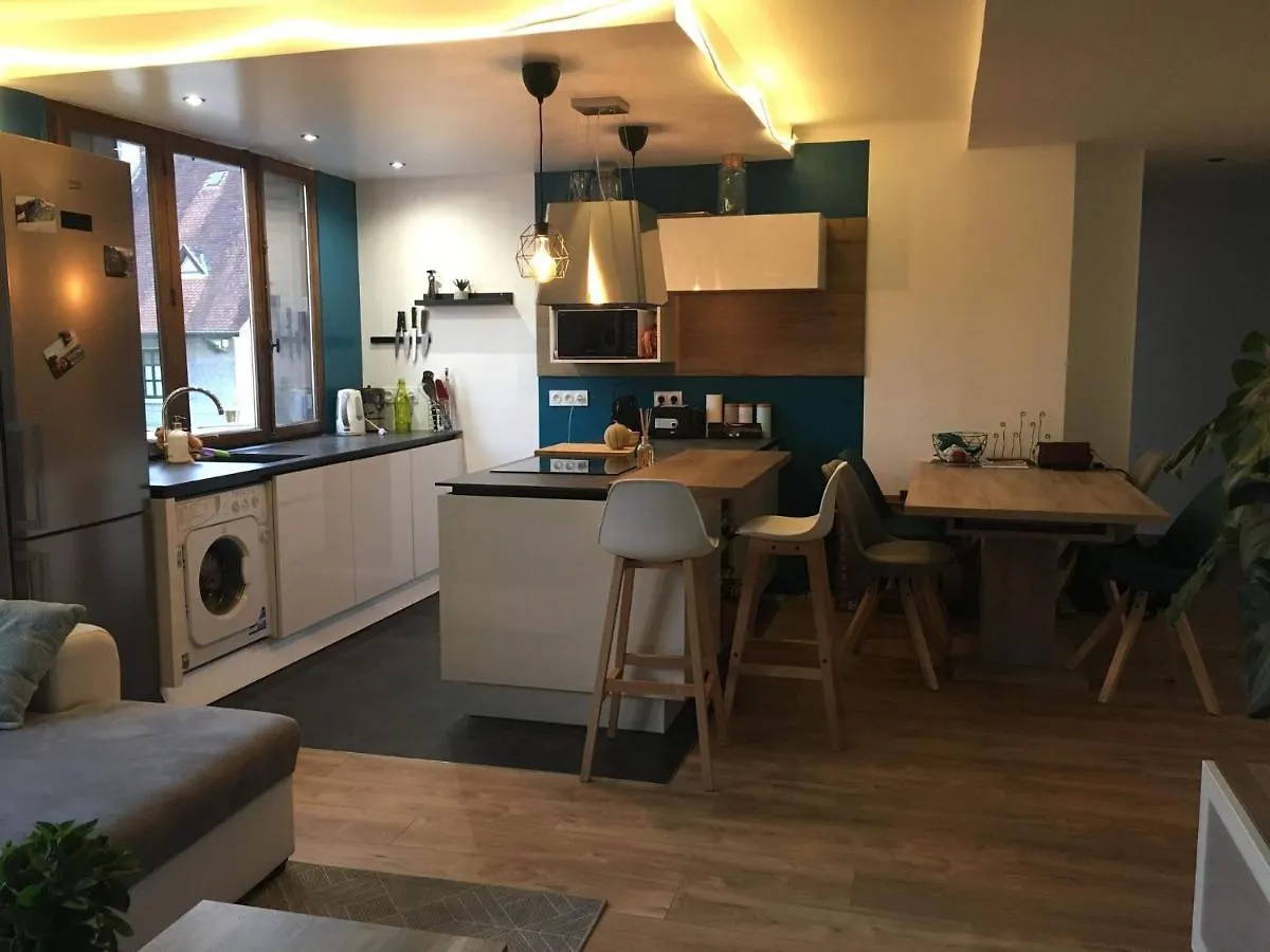 Le Coquet - Gare - Hyper Centre - Parking - Wifi - Netflix - Disney+ Annecy 0*,